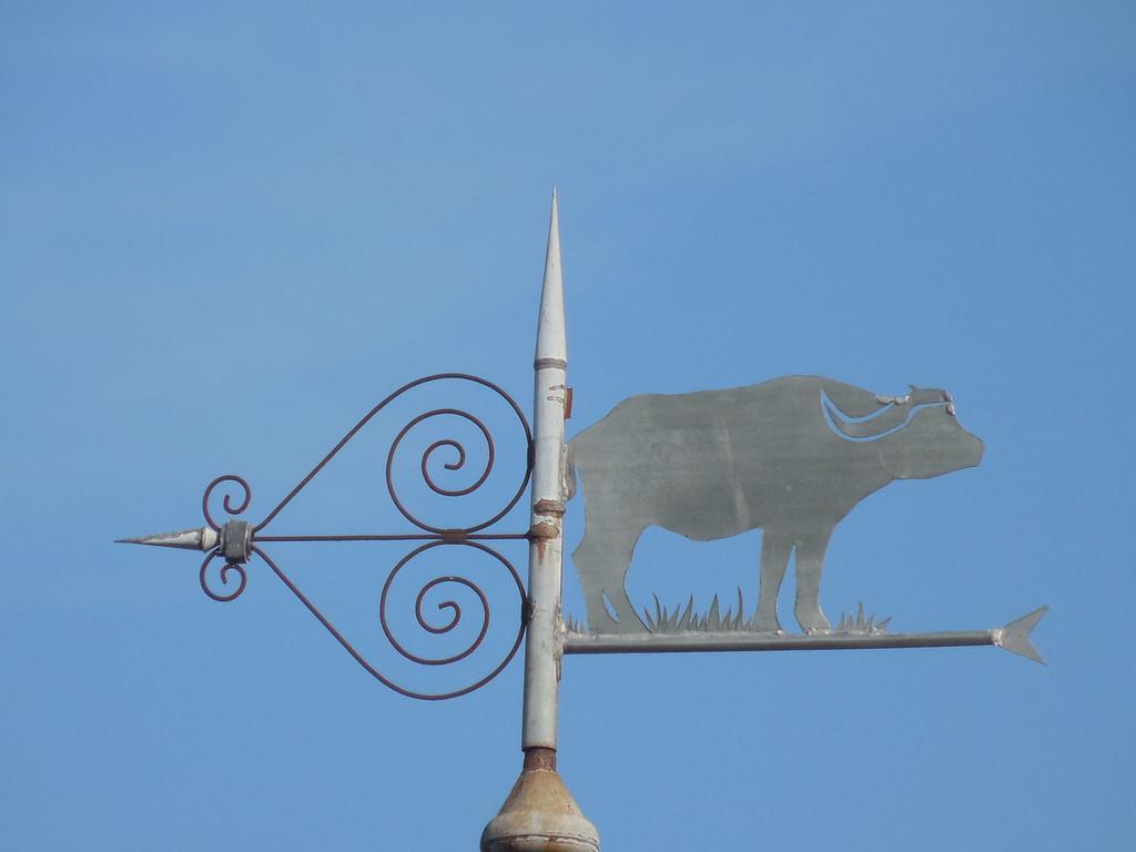Gite De Carbonies Saint-Felix-de-Lunel ภายนอก รูปภาพ