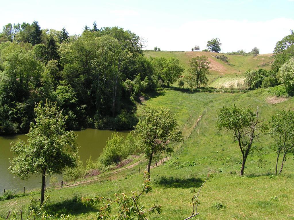 Gite De Carbonies Saint-Felix-de-Lunel ภายนอก รูปภาพ