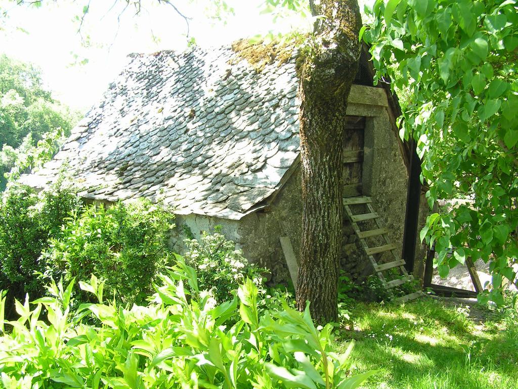Gite De Carbonies Saint-Felix-de-Lunel ภายนอก รูปภาพ